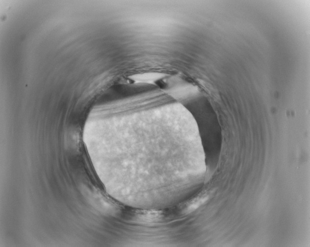 X0000088370288200706121128