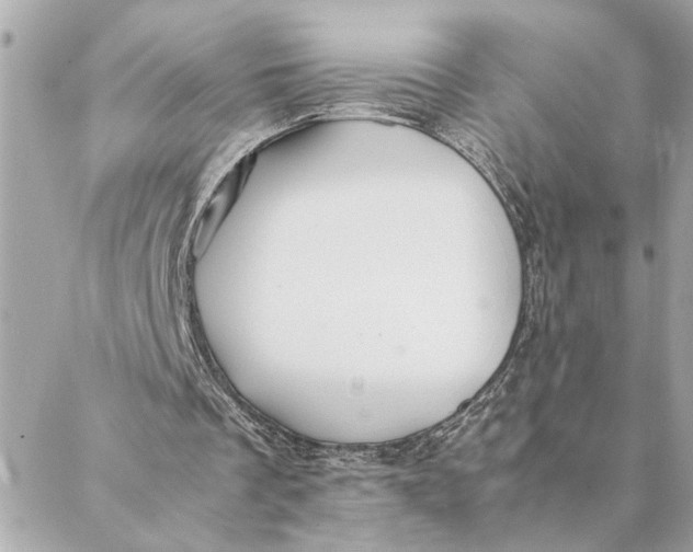 X0000088370289200706121127