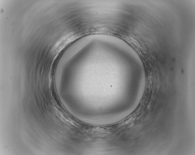 X0000088370290200706121127