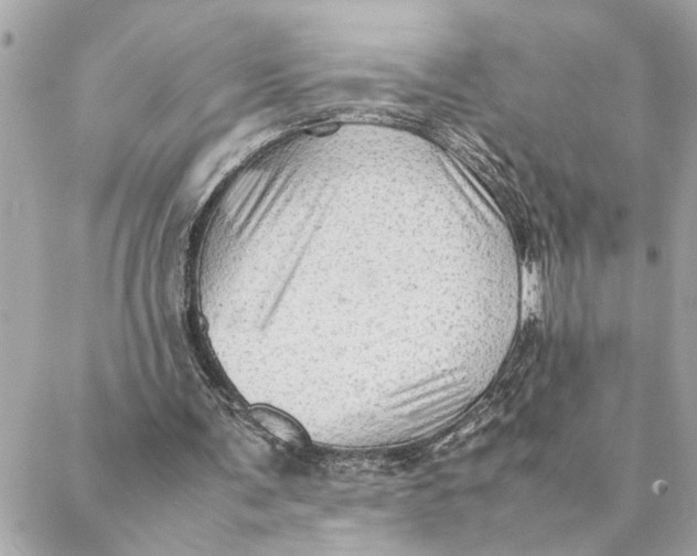 X0000088370291200706121127