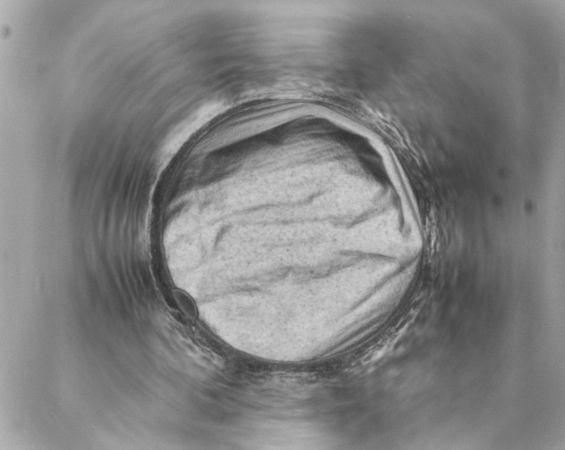 X0000088370292200706121127