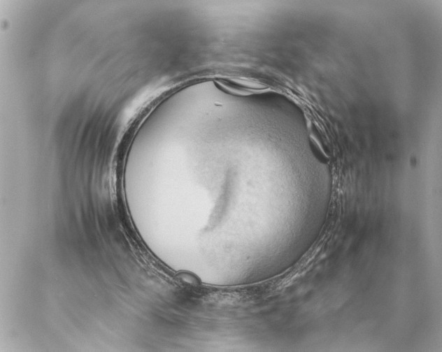 X0000088370294200706121127