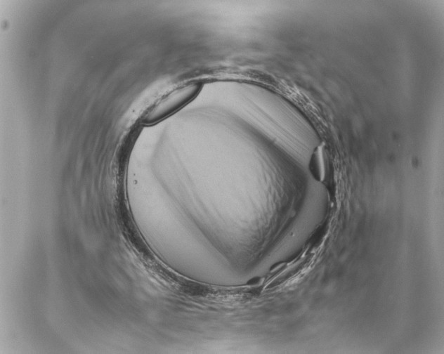 X0000088370295200706121127