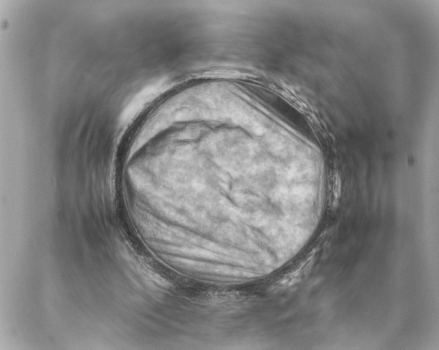 X0000088370296200706121127