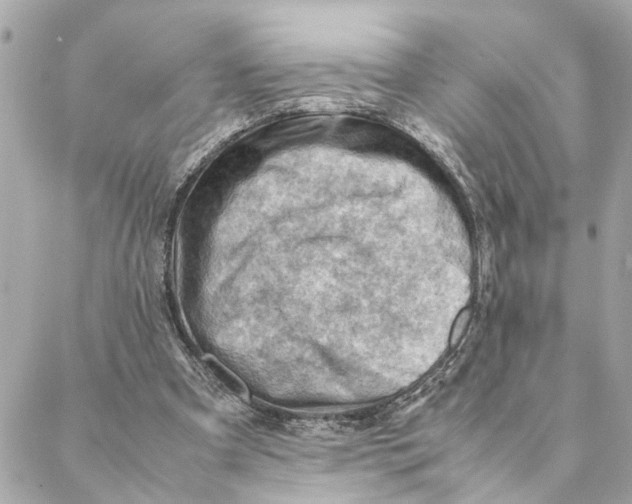 X0000088370297200706121127