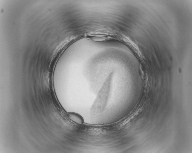 X0000088370298200706121127