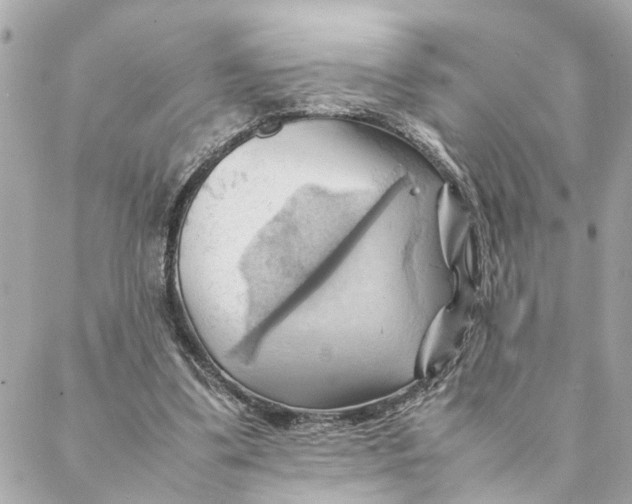 X0000088370299200706121127