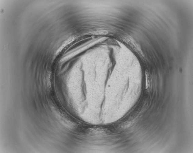 X0000088370300200706121127