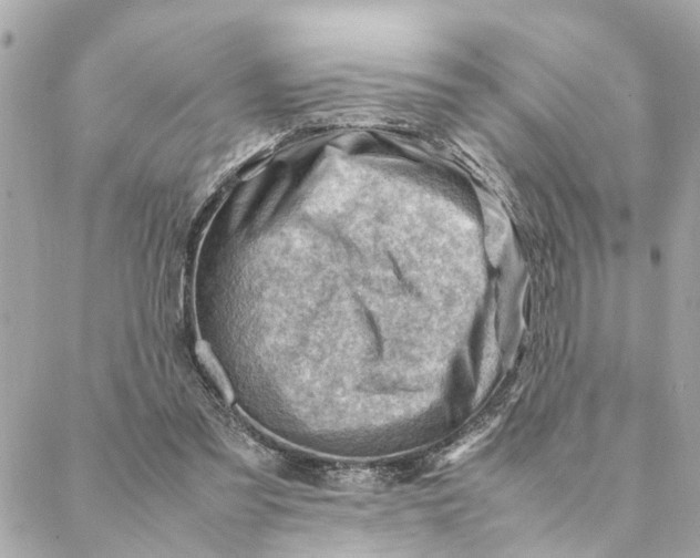 X0000088370301200706121127