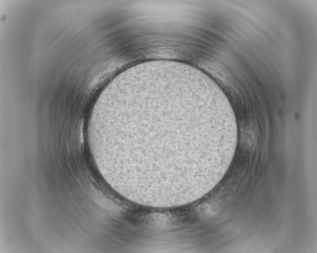 X0000088370302200706121127