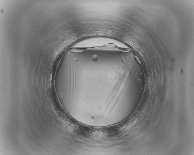 X0000088370303200706121127