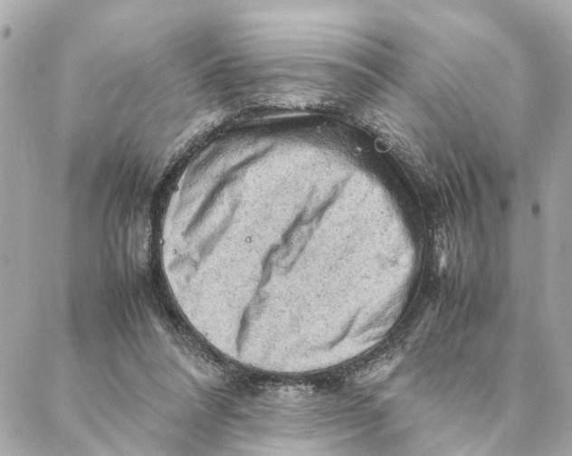 X0000088370304200706121127