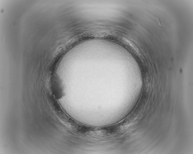 X0000088370307200706121127