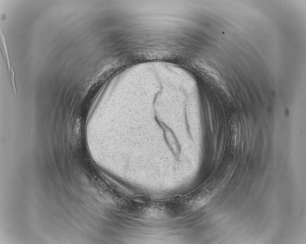 X0000088370308200706121127