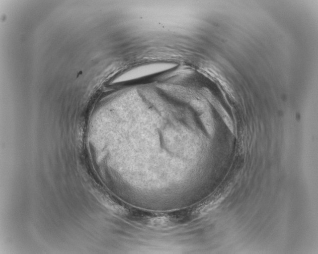 X0000088370309200706121127