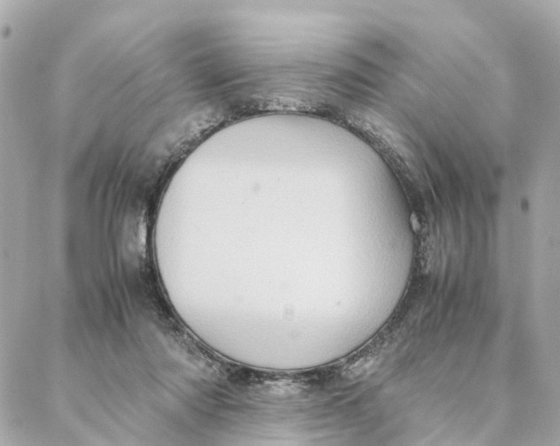 X0000088370310200706121127