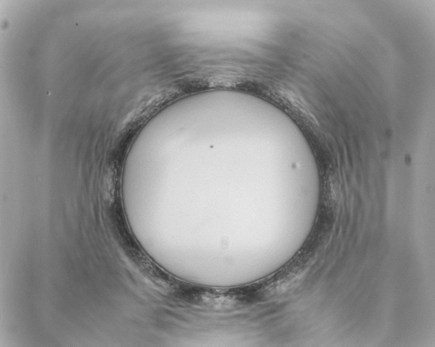 X0000088370311200706121127