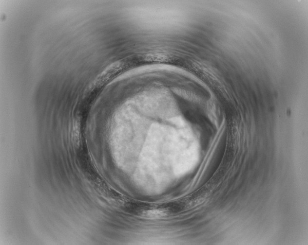 X0000088370312200706121127