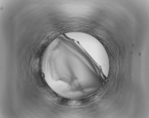 X0000088370319200706121126