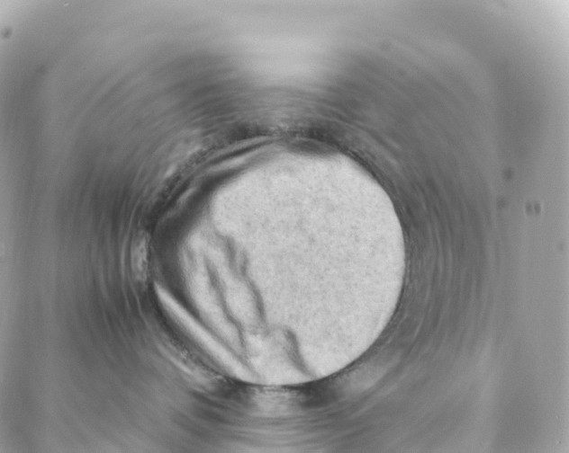 X0000088370336200706121126
