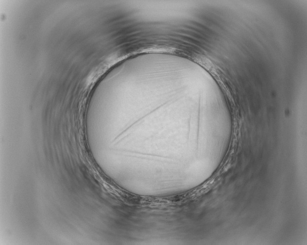 X0000088370337200706121125