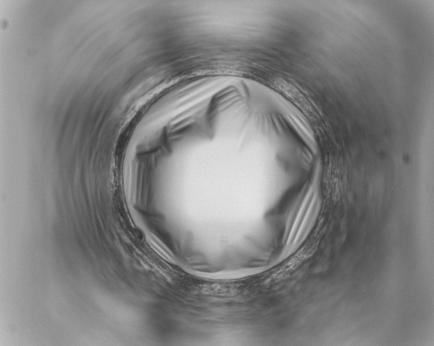 X0000088370338200706121125