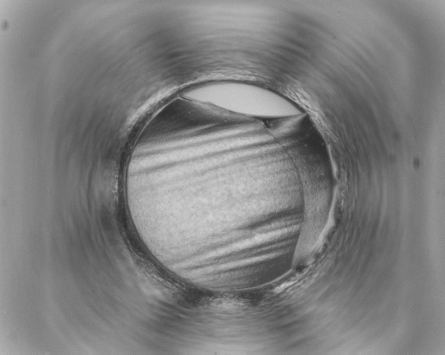 X0000088370348200706121126