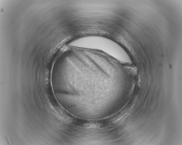 X0000088370356200706121126