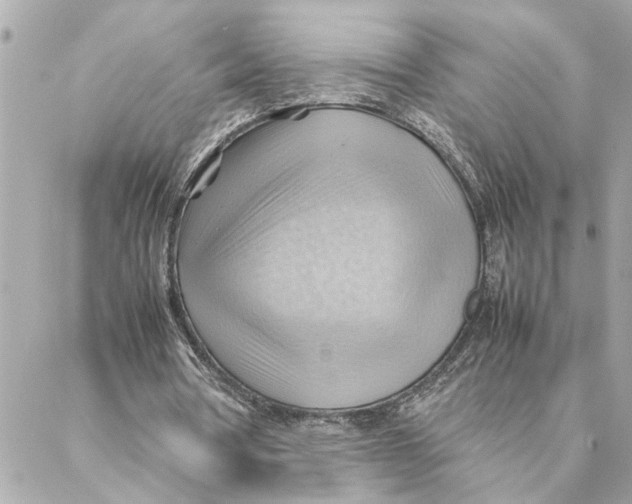 X0000088370386200706121125