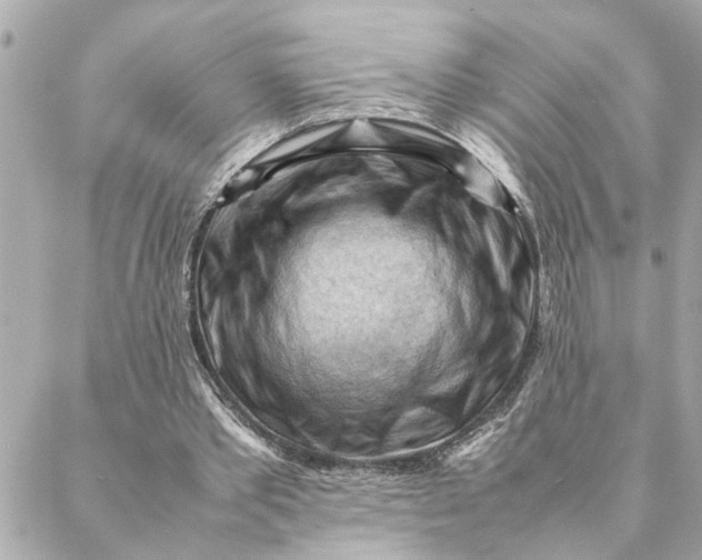 X0000088370389200706121125