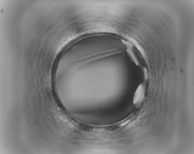 X0000088370391200706121125