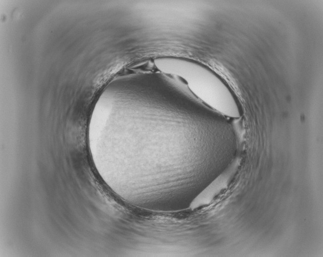 X0000088370393200706121125