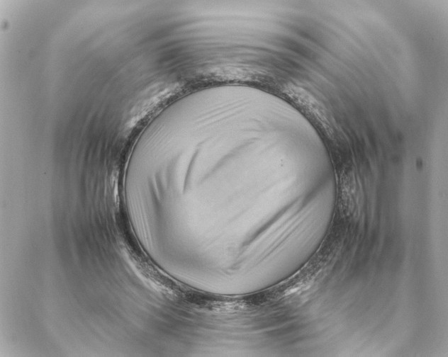 X0000088370398200706121125