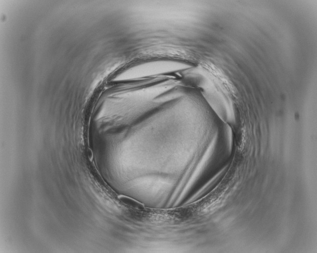 X0000088370399200706121125