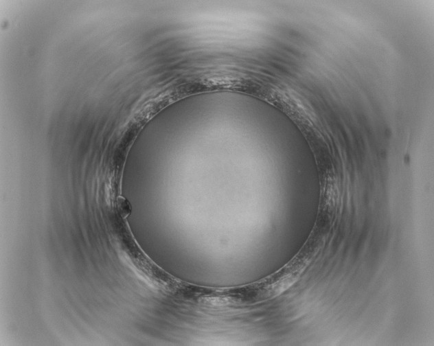 X0000088370408200706121125