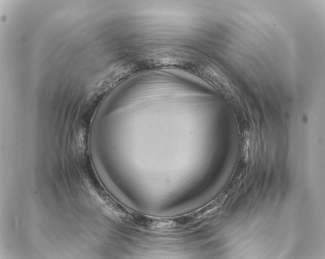 X0000088370410200706121125