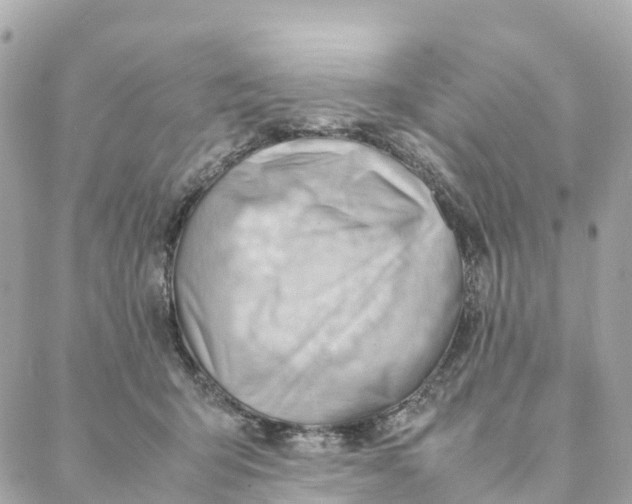 X0000088370415200706121125