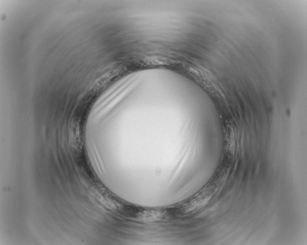 X0000088370418200706121125