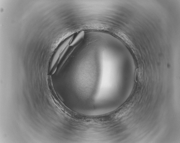 X0000088370434200706121124