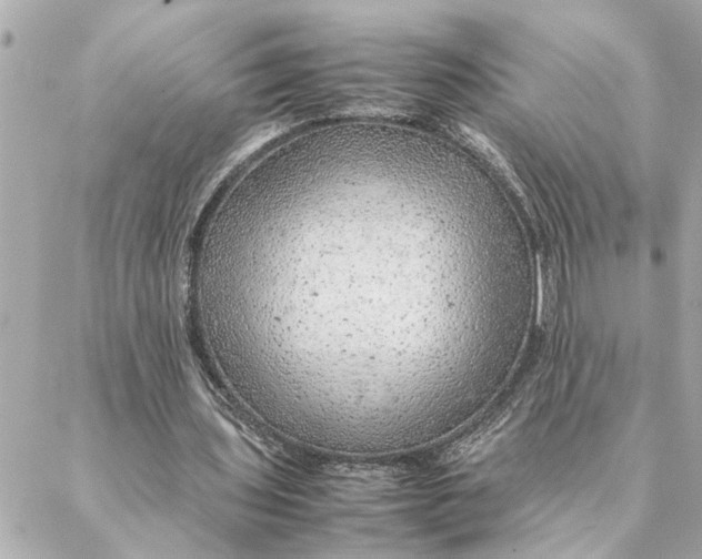 X0000088370435200706121124