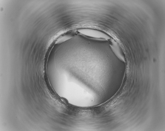 X0000088370438200706121124