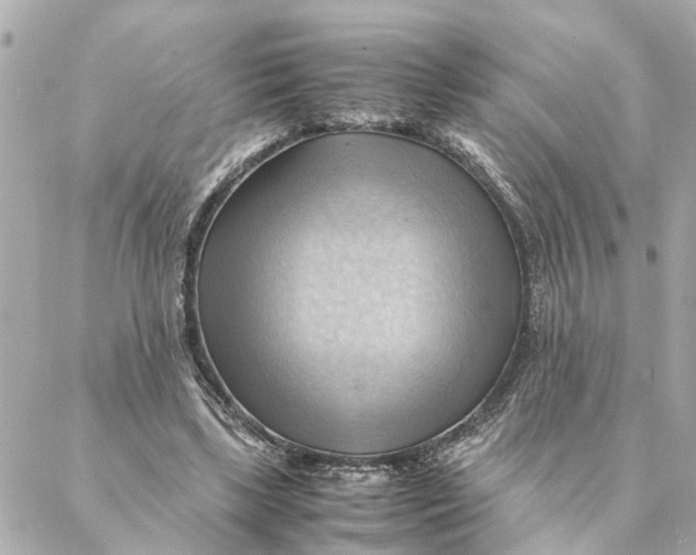 X0000088370443200706121124