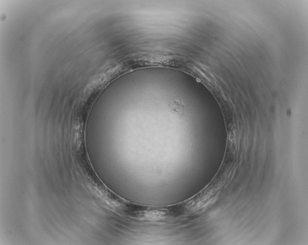 X0000088370462200706121124