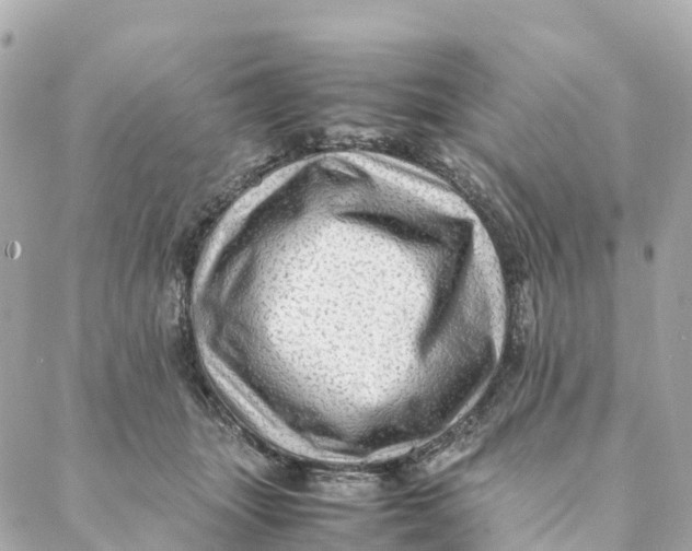 X0000088370463200706121124
