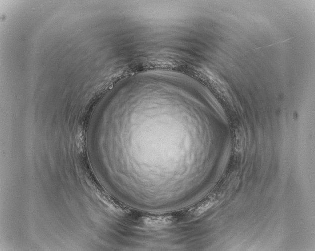 X0000088370465200706121124