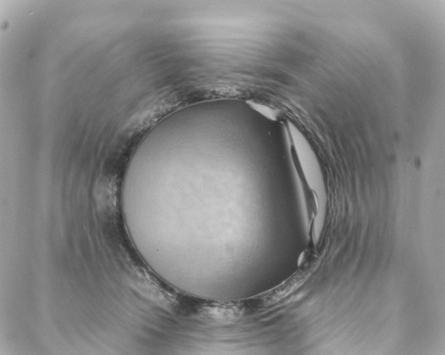 X0000088370466200706121124