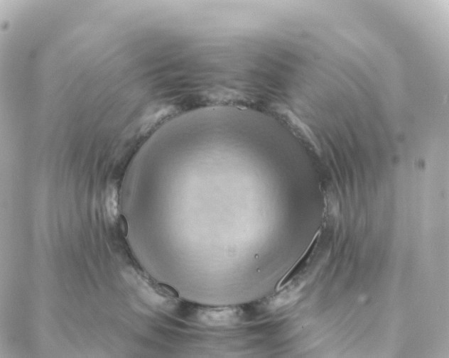 X0000088370479200706121125