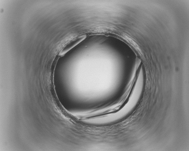 X0000088370485200706121124