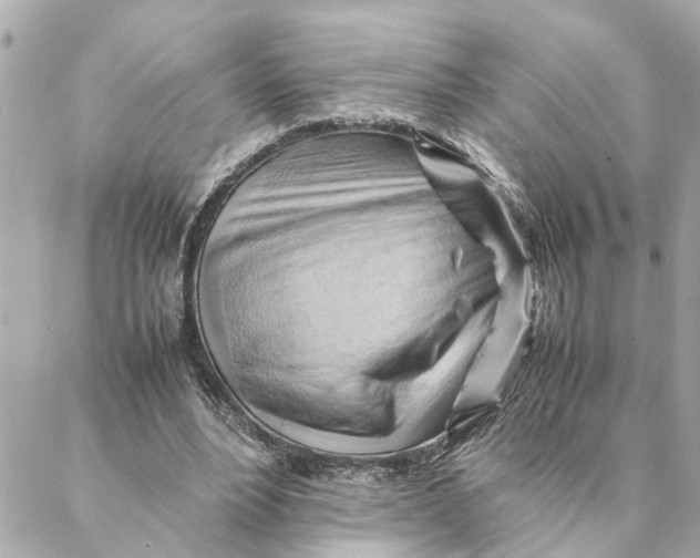 X0000088370488200706121124