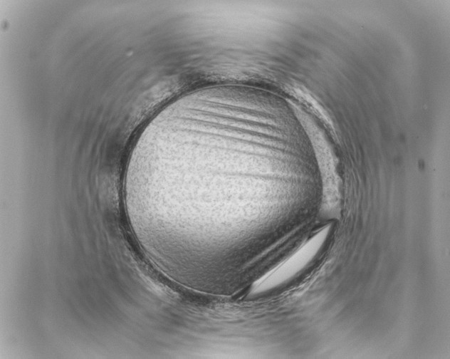 X0000088370489200706121124